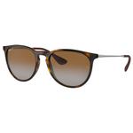 Ray Ban Lunettes de soleil RB4171 Erika Classic Polished Light Havana Polar Brown Présentation