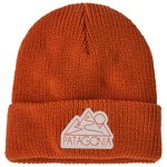 Patagonia Bonnet Kid's Logo Beanie Z's and S's Redtail Rust Présentation