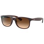 Ray Ban Lunettes de soleil RB4202 Andy Mat Brown Gradien Brown Présentation