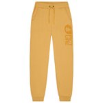 Picture Pantalon Chill Pants Oak Buff Présentation