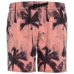 Watts Boardshort Rrainbow Waterpalm Terra Cotta Présentation