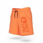 Picture Short Basement Shorts Dusty Orange Présentation