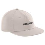Salomon Casquettes Logo Flat Cap Etherea Présentation