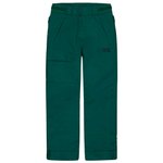 Picture Pantalon Ski Time Ponderosa Pine Présentation
