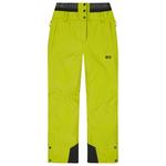 Picture Pantalon Ski Exa Split Pea Présentation