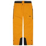 Picture Pantalon Ski Testy Bib Honey Présentation