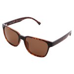 Red Bull Spect Lunettes de soleil Cary Shiny Havana Brown Présentation
