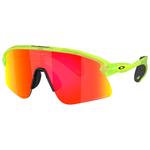 Oakley Lunettes de soleil Stunt Devil S Matte Uranium Prizm Ruby Présentation