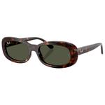Ray Ban Lunettes de soleil RB2221 Polished Havana G-15 Green Présentation