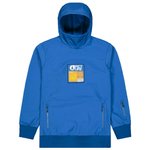 Picture Blouson Ski Parker Deep Ultramarine Présentation