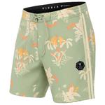 Vissla Boardshort Sub Tropic 18.5 Sage Présentation