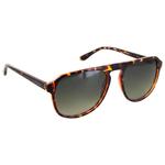 Moken Vision Lunettes de soleil Big Dude Tortoise Green Cat.3 Gradient Polarized Présentation