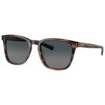 Costa Del Mar Lunettes de soleil Sullivan Salt March Gray Gradient Polarized Présentation