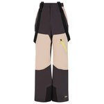 Protest Pantalon Ski Prtraider Jr Snowpants Deep Grey Présentation