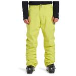 Quiksilver Pantalon Ski Estate Pant Yellow Plum Présentation