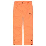 Picture Pantalon Ski Time Pants Neon Flare Présentation