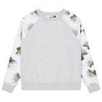 Picture Sweat Blayr Crew Grey Melange Présentation