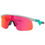 Oakley Lunettes de soleil Resistor Matte Fog Prizm Field Présentation