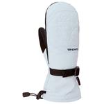 Dakine Moufles Womens Camino Mitt Ancient Water Présentation