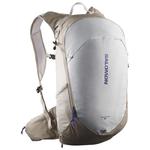 Salomon Sac à dos Trailblazer 20 Vintage Khaki Glacier Gray Présentation