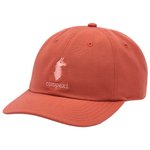 Cotopaxi Casquettes Cotopaxi Dad Hat Faded Brick Présentation