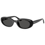 Ray Ban Lunettes de soleil RB4441D Polished Black Dark Grey Présentation