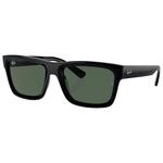 Ray Ban Lunettes de soleil RB4396 Warren Polished Black Green G-15 Présentation