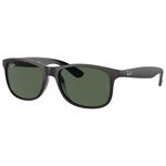 Ray Ban Lunettes de soleil RB4202 Andy Matte Black Green Présentation