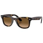 Ray Ban Lunettes de soleil RB4340 Wayfarer Ease Polished Havana Gradient Brown Polar Présentation