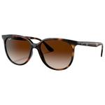 Ray Ban Lunettes de soleil RB4378 Polished Havana Gradient Brown Présentation