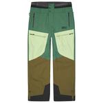 Picture Pantalon Ski Naikoon Smoke Pine Présentation