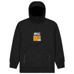 Picture Blouson Ski Parker Black Présentation