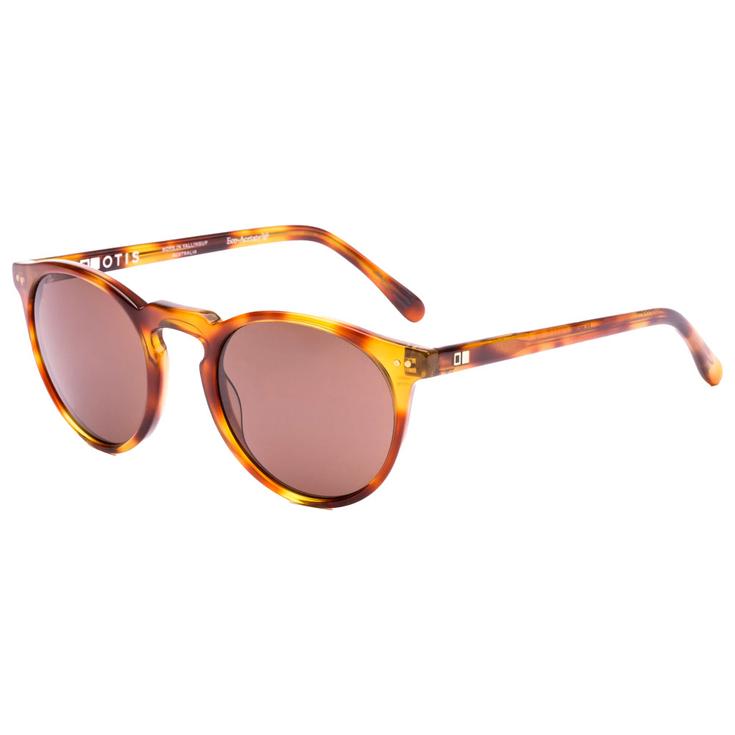 Otis Lunettes de soleil Omar Eco Havana Zinnia L.I.T Brown Polar Présentation