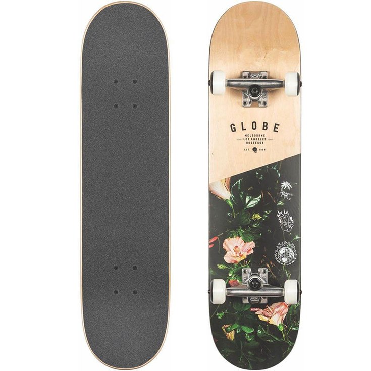 Globe Skate Skateboard Globe G1 Insignia - Marple/Thornbush - 7.75" - Sans Profil
