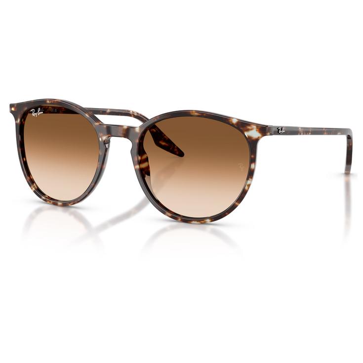 Ray Ban Lunettes de soleil RB2204 Polished Havana Tortoise Yellow Gradient Brown Clear Présentation