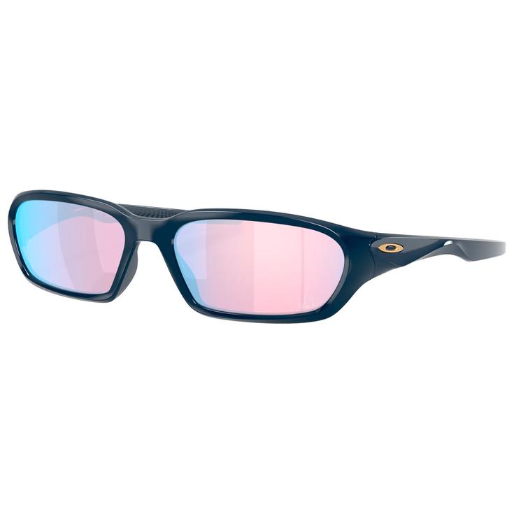 Oakley Lunettes de soleil Terraforma Abyss Prizm Snow Sapphire Présentation