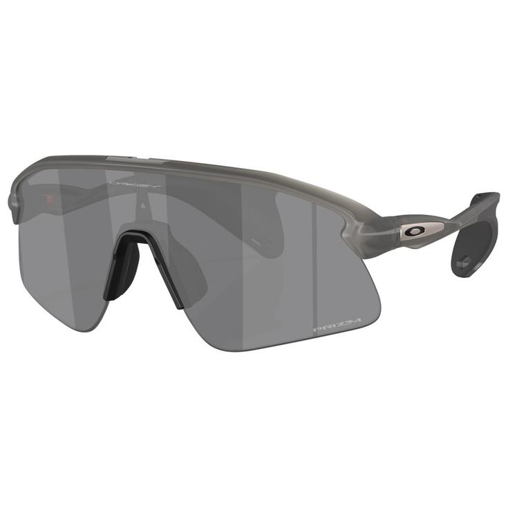 Oakley Lunettes de soleil Stunt Devil Grey Smoke Prizm Black Présentation