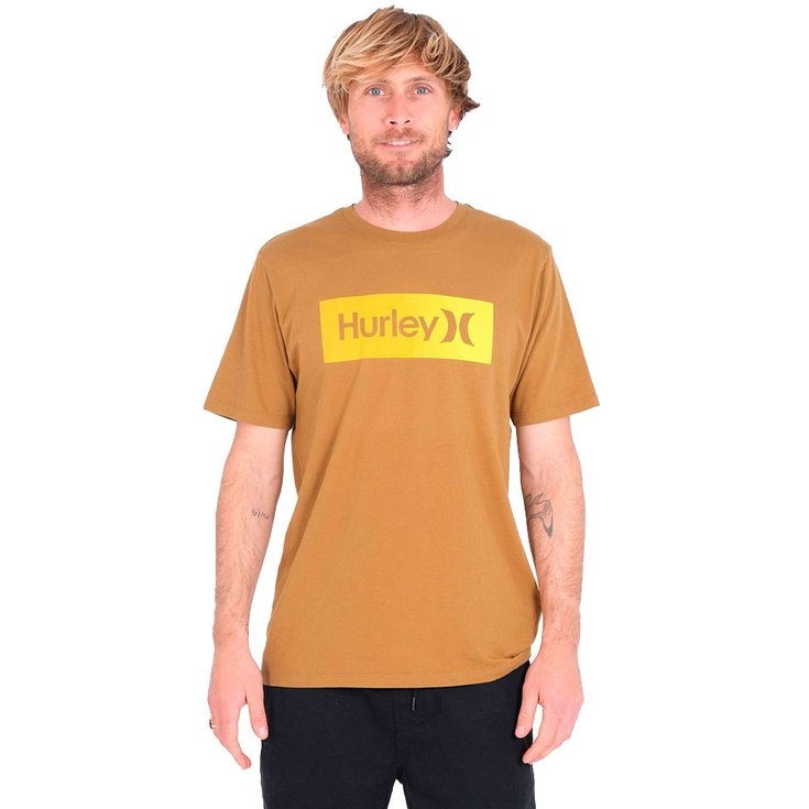 Hurley Tee-shirt Everyday Wash boxed gradient Dos