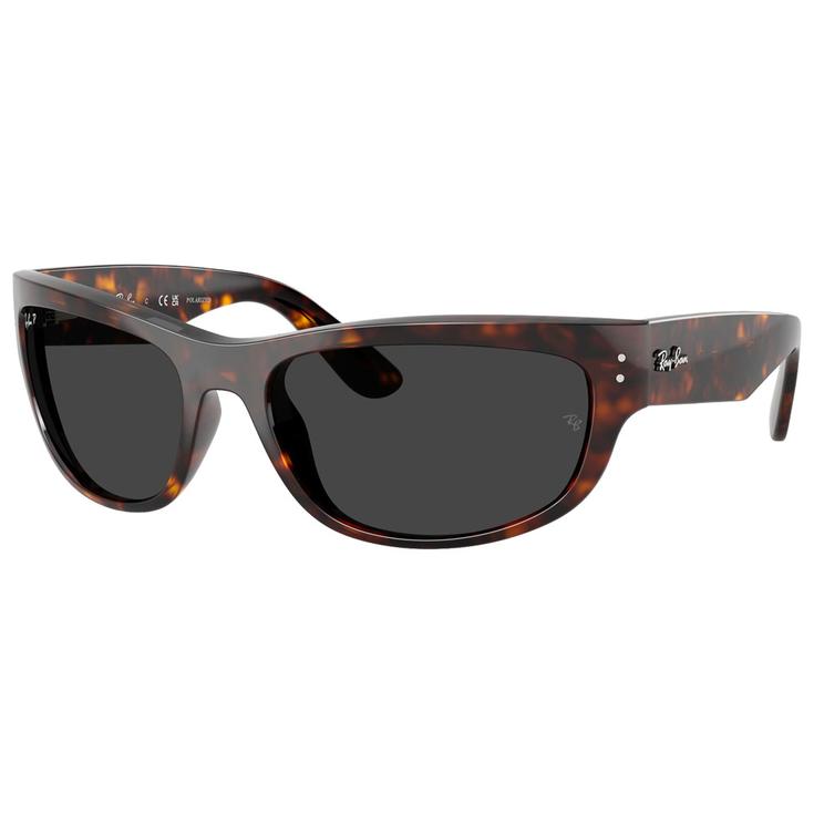 Ray Ban Lunettes de soleil RB2289 Mega Balorama Polished Havana Polar Black Présentation