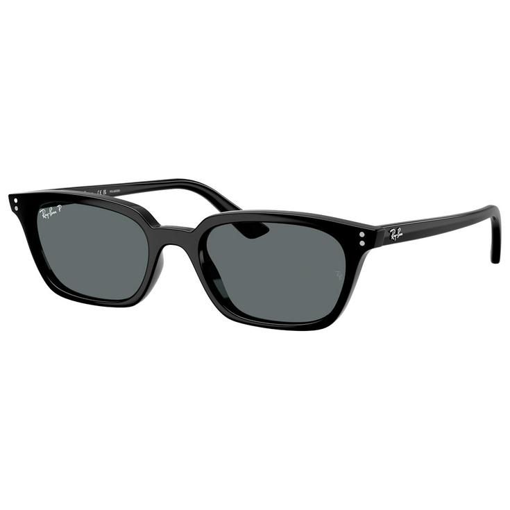 Ray Ban Lunettes de soleil RB4456 Zaya Polished Black Dark Grey Polar Présentation