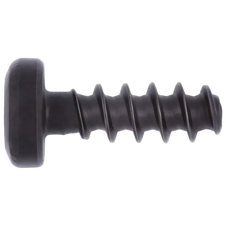 Glisse-Proshop Outillage Vis Footstrap à tête bombée - TORX - M6 (lot de 4) Détail