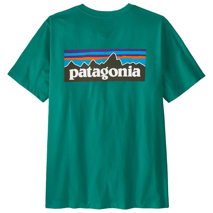Patagonia Tee-shirt P-6 Logo Gem Green Dos