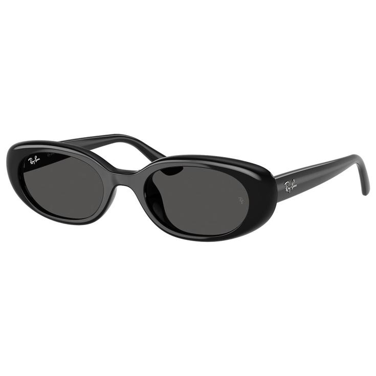 Ray Ban Lunettes de soleil RB4441D Polished Black Dark Grey Présentation