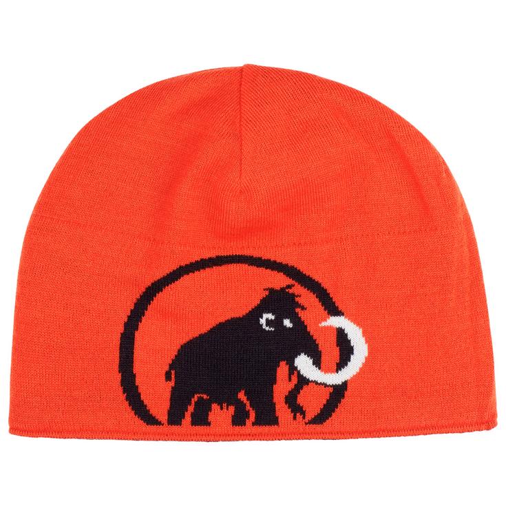 Mammut Bonnet Logo Beanie Black Présentation